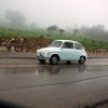 Bolognetta 2010 (48)